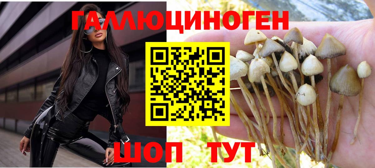 Галлюциногенные грибы Psilocybe Лосино-Петровский