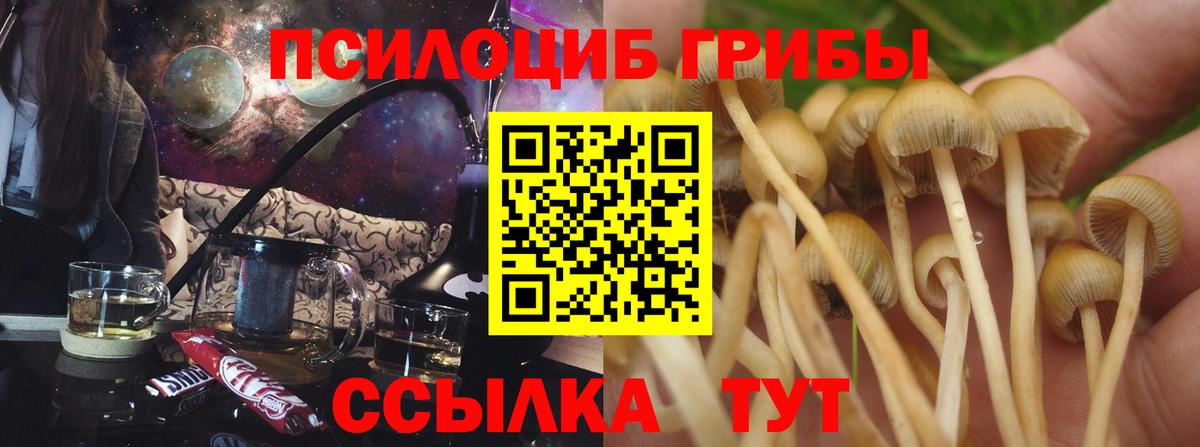 купить  сайты  Вход с VPN  Лосино-Петровский  Псилоцибиновые грибы мухоморы 